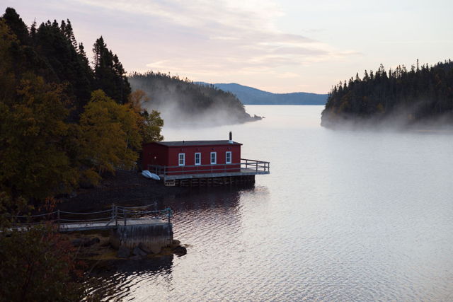 Foggy Cove
