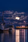 Petty Harbour Harvest Moon