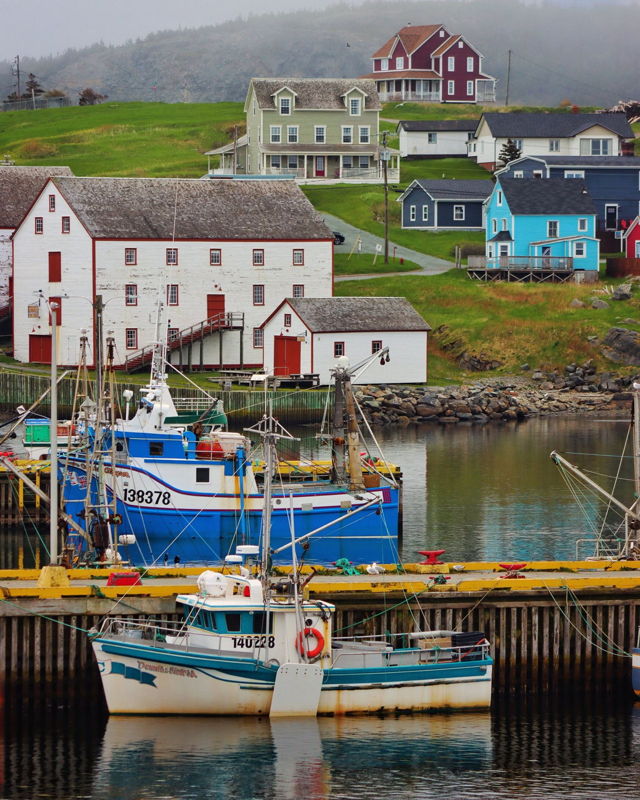 Harbour Views