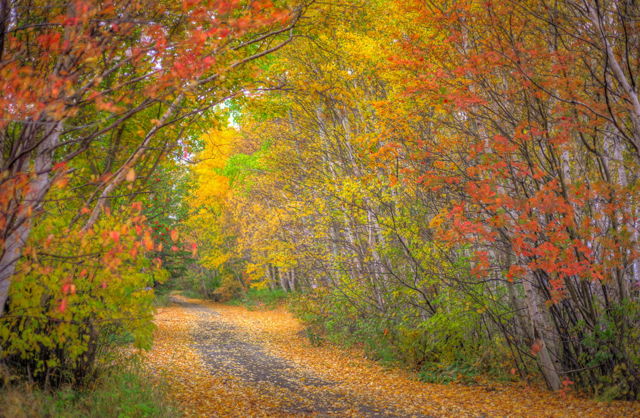 A fall day in Central Newfoundland