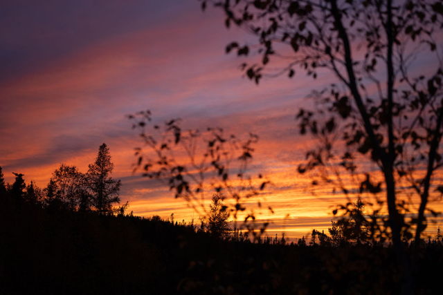 Fiery Skies