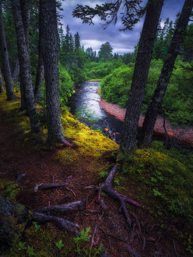 Southwest Arm Brook Newfoundland