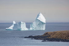 Ferryland Iceberg 4