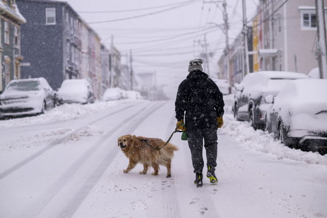 Winter promenade of best friends