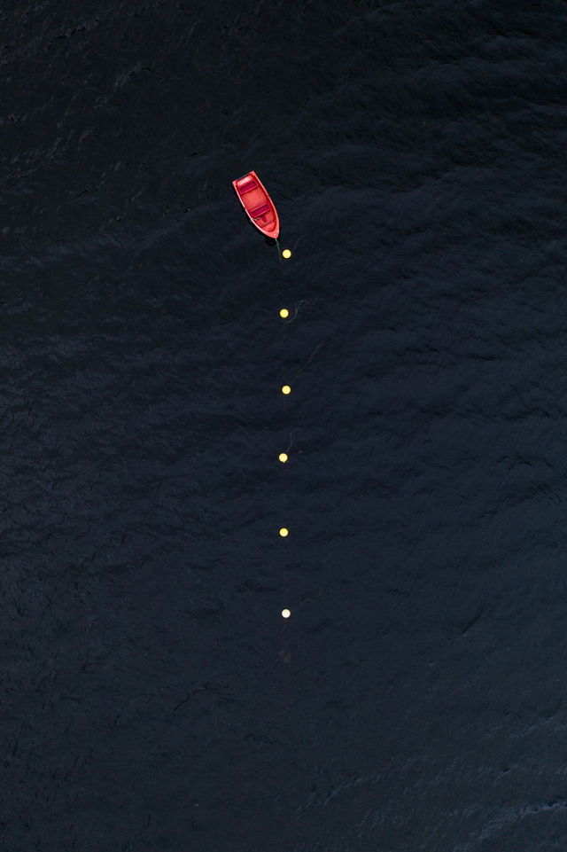 Buoys in the Harbour