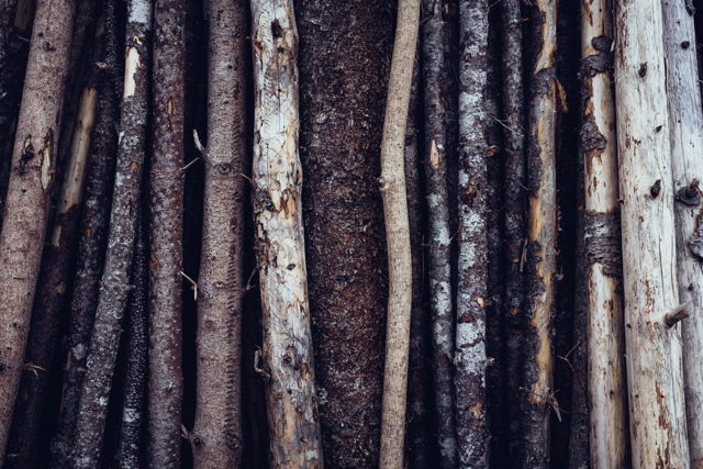 Wood Array