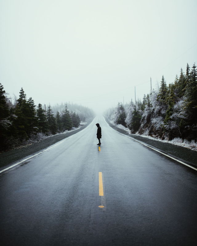Into the Fog