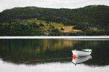Quiet Harbour