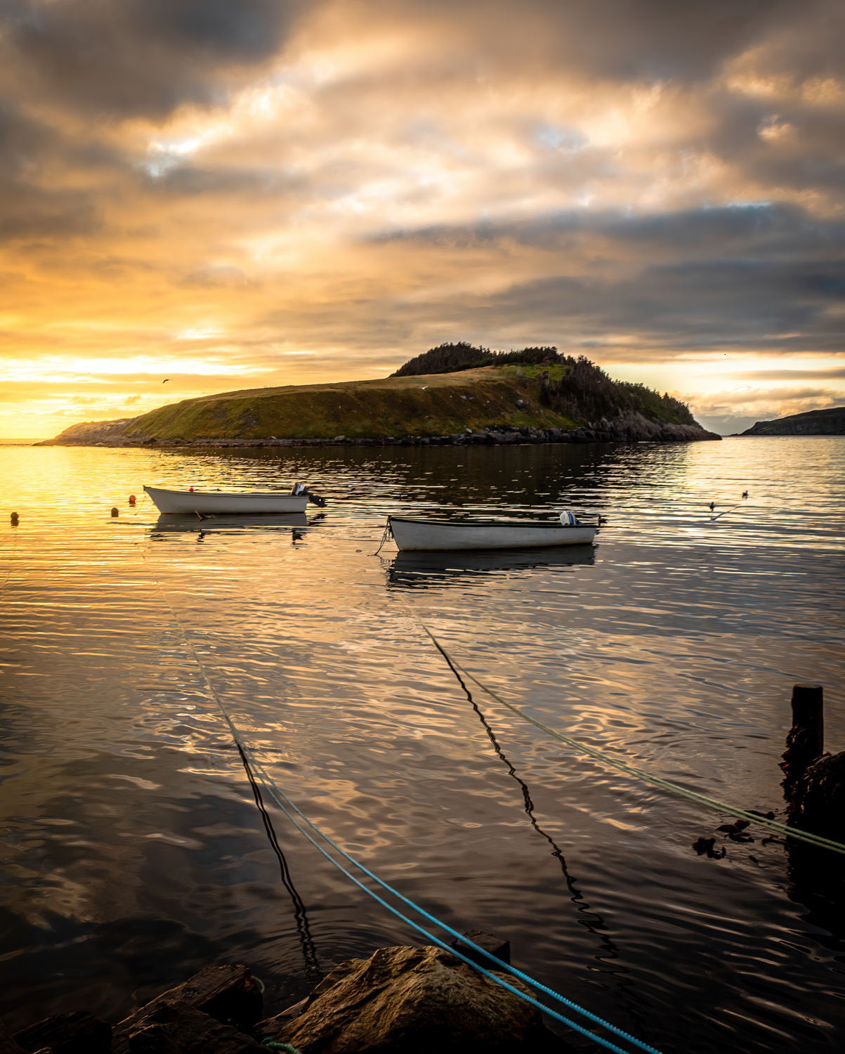 Tors Cove Light Ray Mackey ARTfunnels