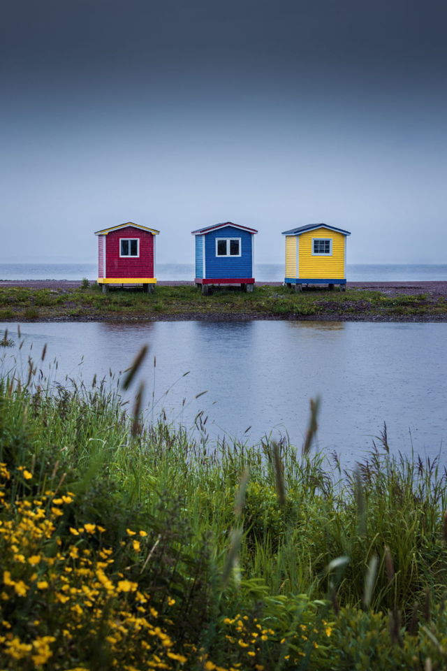 Colours Of The Rain
