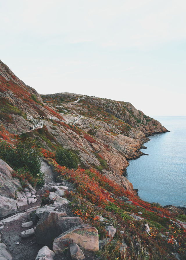 Autumn on Signal Hill