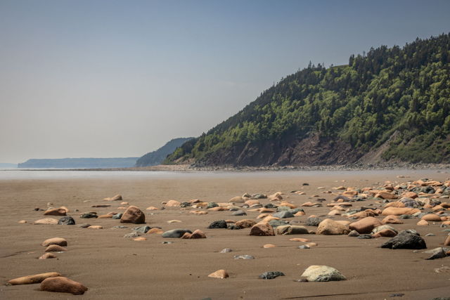 Fundy National Park 2