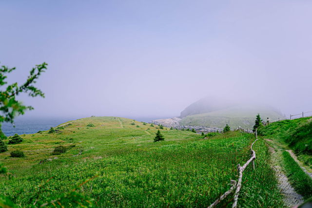 Hills in the Mist