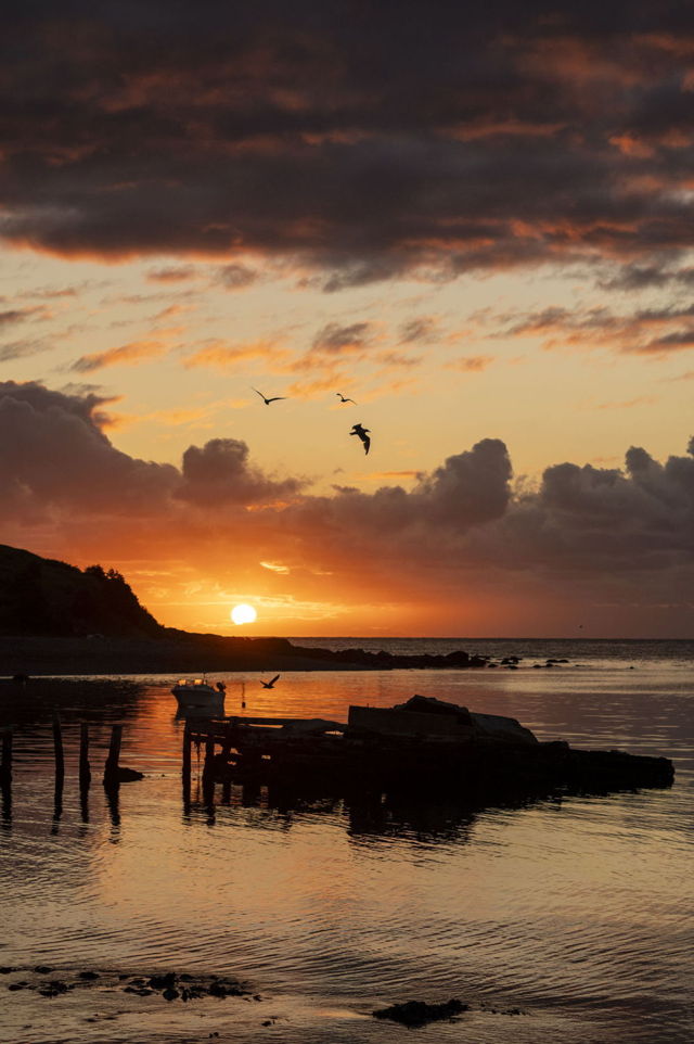 Sunrise glow over the Newfoundland Cove