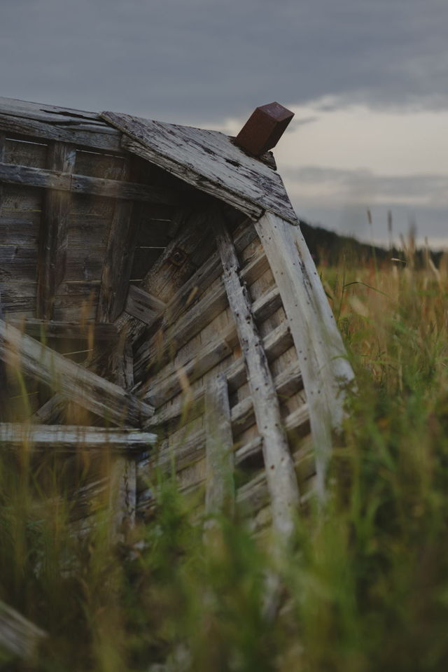Whispers in the grass