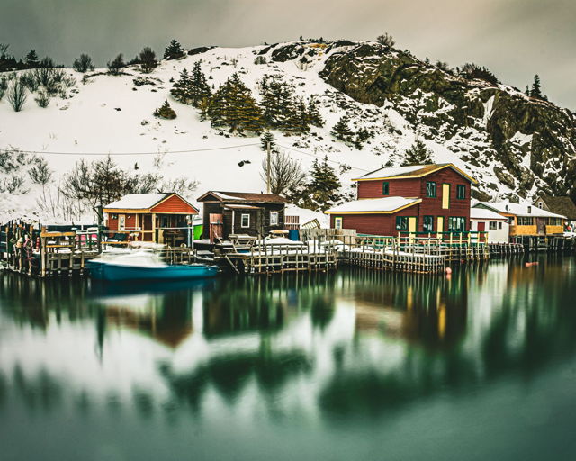 QUIDI VIDI