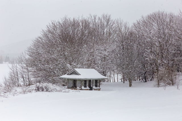 Winter Wonderland