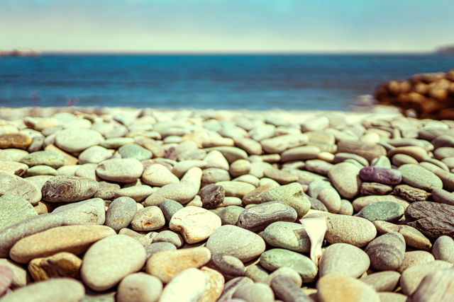 Beach Rocks in Witless Bay
