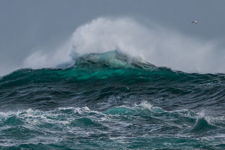 Teal Crest