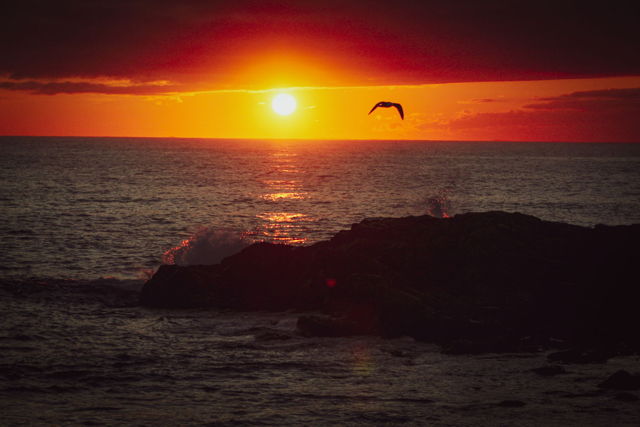 Bonavista Sunset 2