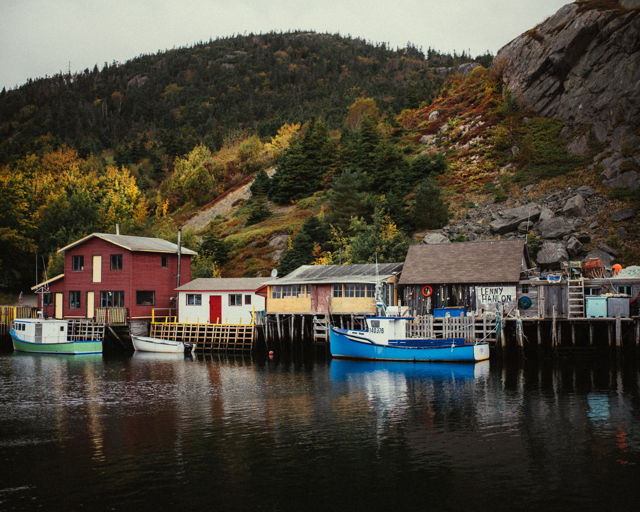 Autumn Palette of Quidi Vidi