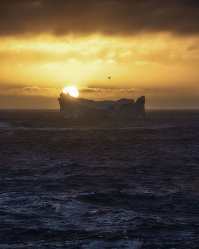 Sunrise Iceberg