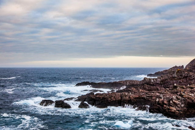 Logy Bay