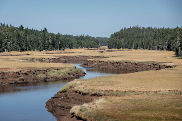 Tidal Brook