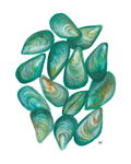 Green Ocean Mussels