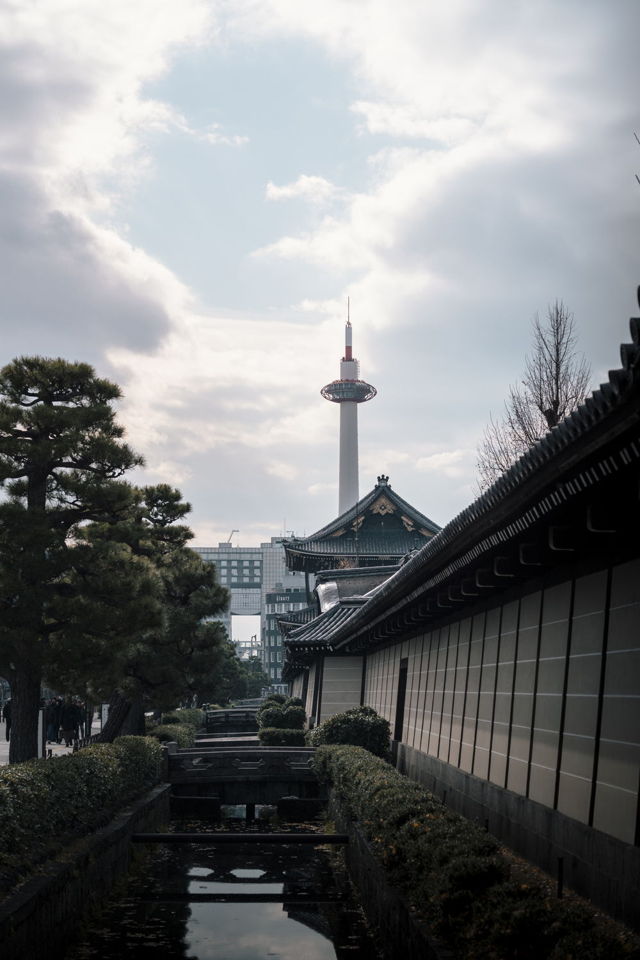 Kyoto Lines