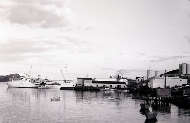 Burgeo - Fish Plant - 1960.