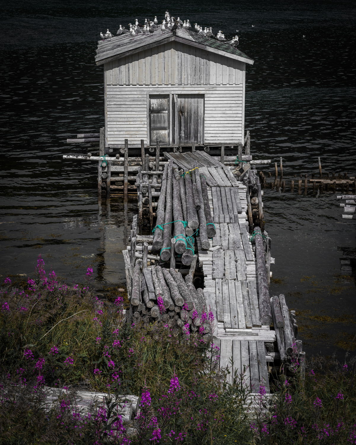 Seal Cove Stage Ray Mackey ARTfunnels