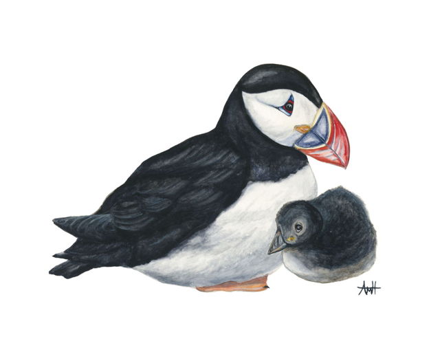 Puffling Love