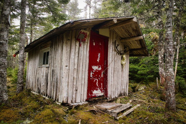 Backwoods Cabin.