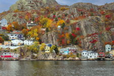 Fall in St. John's