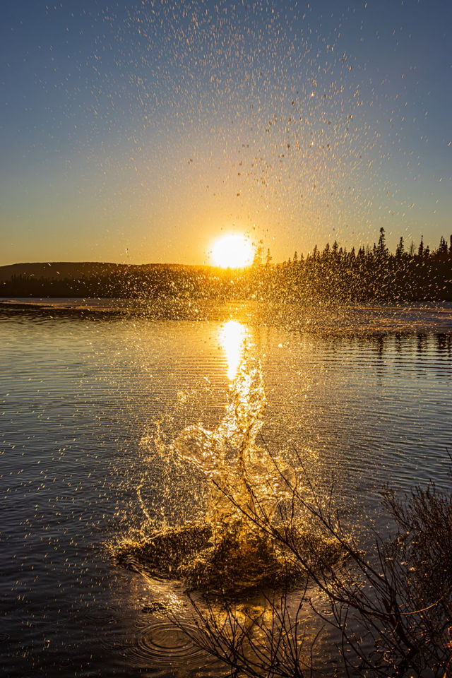 Splish Splash