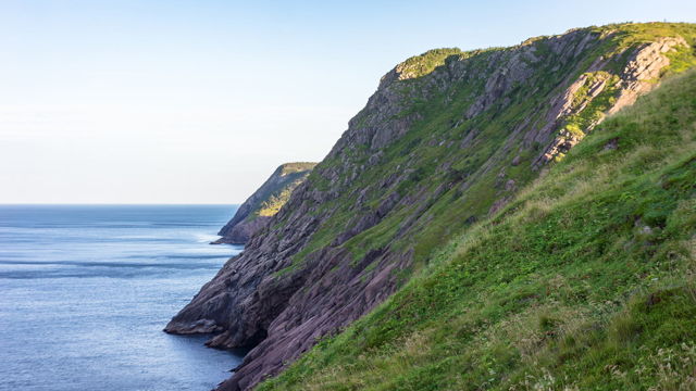 The Bight