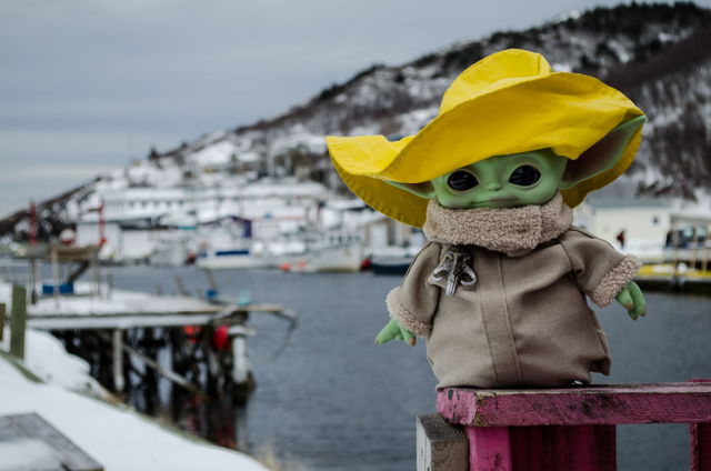 Baby Yoda at Petty Harbor. NL