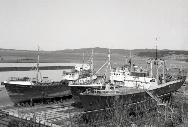 Marystown - Fishing Trawlers undergoing annual refit at the Marystown Shipyard - 1970s - Allan Stoodley