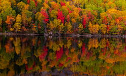 Fall reflection - Humber River, Corner Brook, Newfoundland, Canada