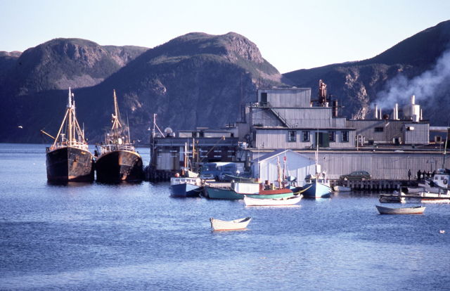 Harbour Breton fish plant and trawlers - 1970s