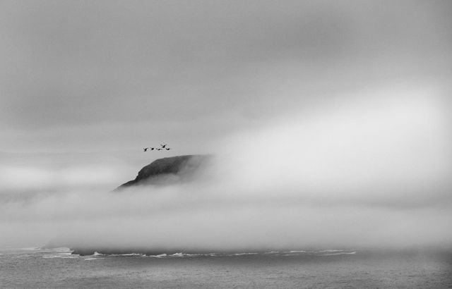 Foggy Morning At Cape Spear