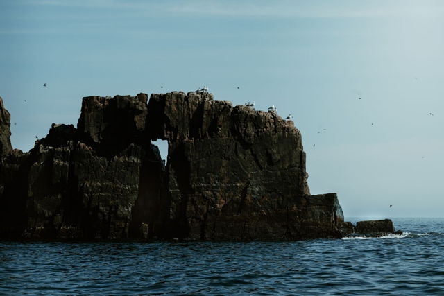 A Rocky Gathering