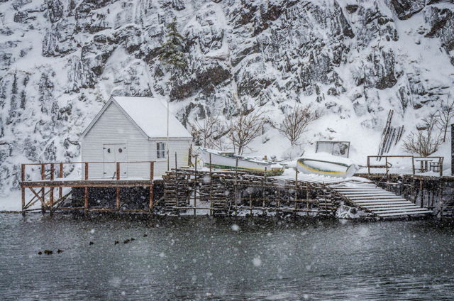 Quidi Vidi Snowfall