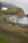 Caplin Time