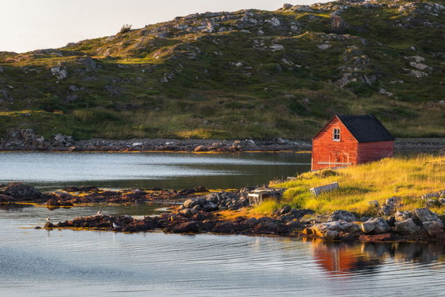 Twillingate Coastal Landscape
