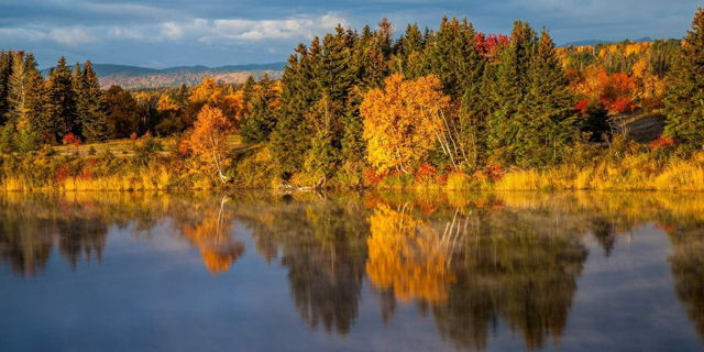 Autumn Glass - Deer Lake