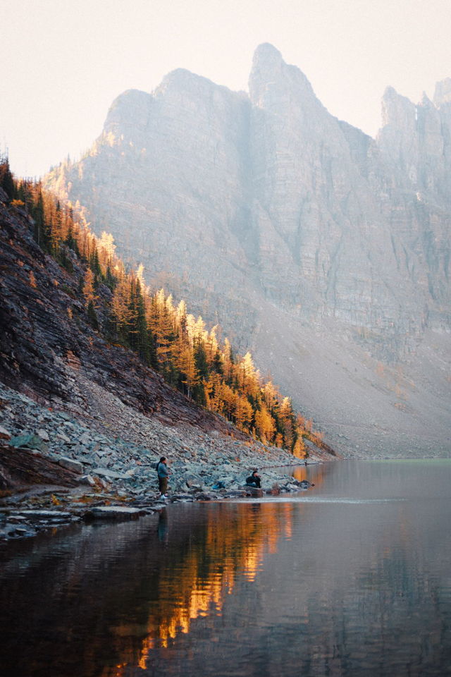 Larches at the Lake