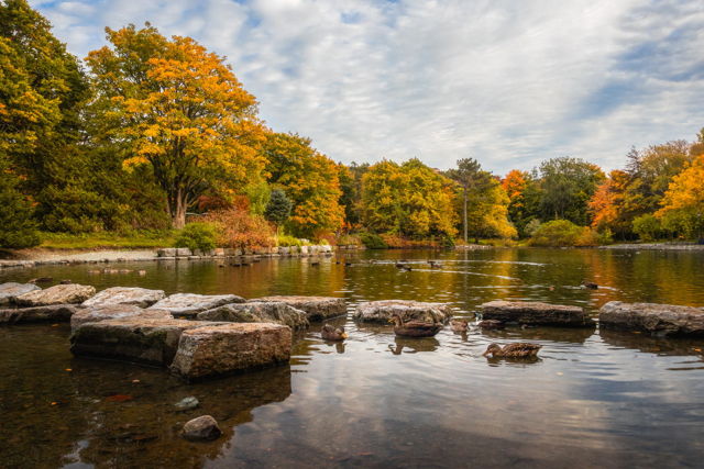 Bowring Park in the Fall