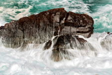 Wave receding from  kelp covered rock